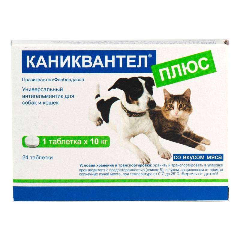 Таблетки от глистов для кошек - лечение и профилактика антигельминтными препаратами в домашних условиях