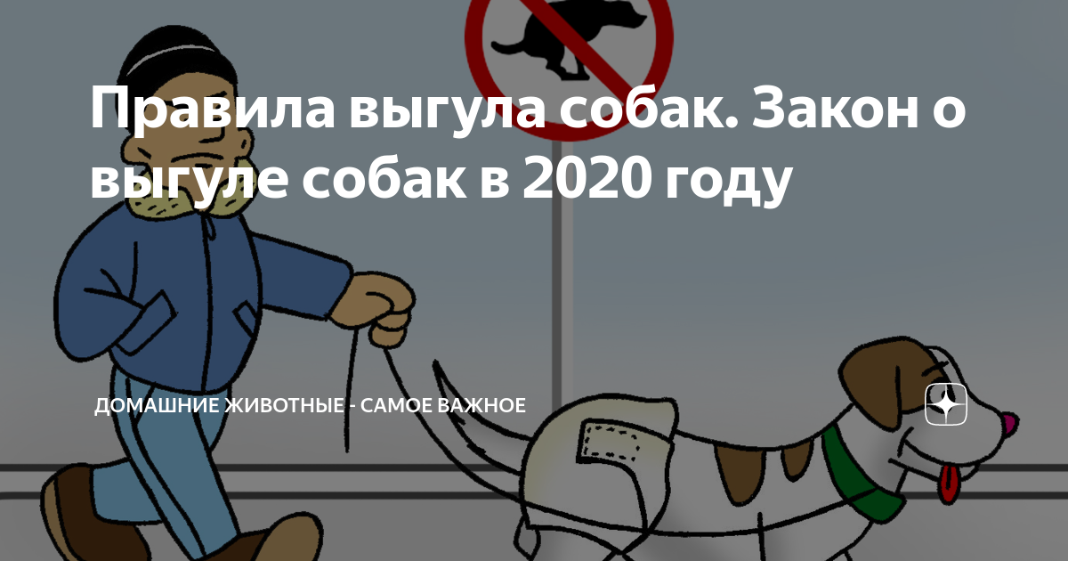 Закон о собаках. Закон о выгуле собак в 2020 году. Выгул собак законодательство 2020. Правила выгула собак 2020. Правила выгула собак в 2020 году.