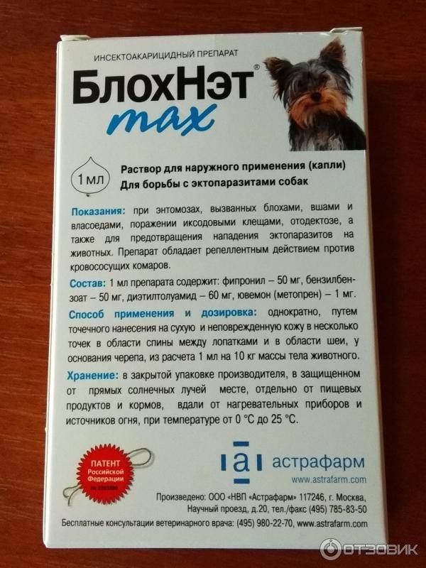 Капли на холку «advocate» для кошек: инструкция по применению