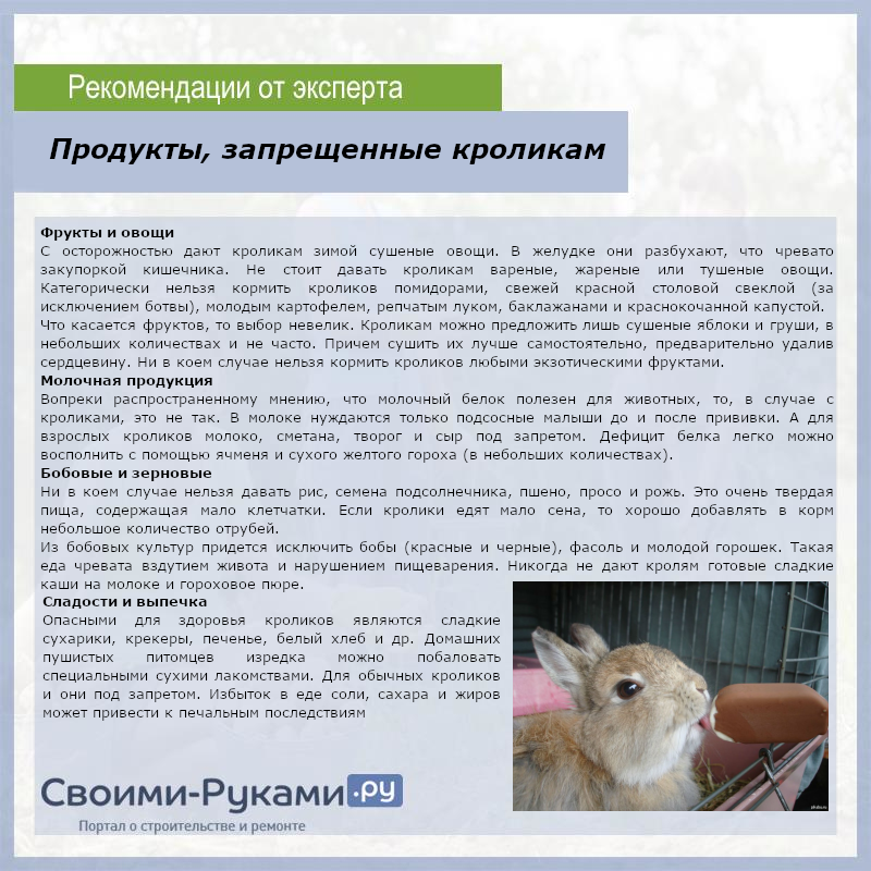 Какой травой нельзя кормить кроликов?