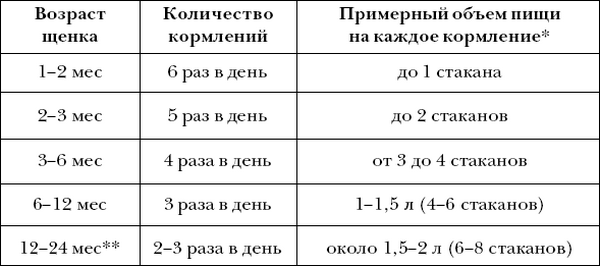 Как переводить собаку на двухразовое питание, когда делают перевод, какое время кормления оптимально при двухразовом питании собаки
