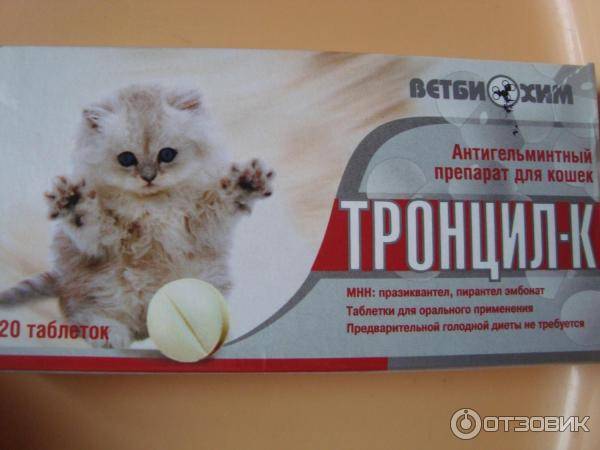 Слабительное для кошек и котов: медикаментозные препараты и народные средства для взрослых животных и котят, отзывы