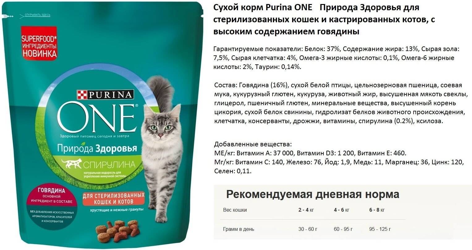 Пурина ван для кошек: обзор корма, отзывы владельцев и ветеринаров (140 фото)