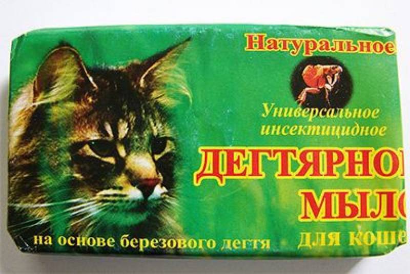 Дегтярное мыло от блох у кошек: эффективность средства, способы его применения для устранения паразитов, отзывы, плюсы и минусы