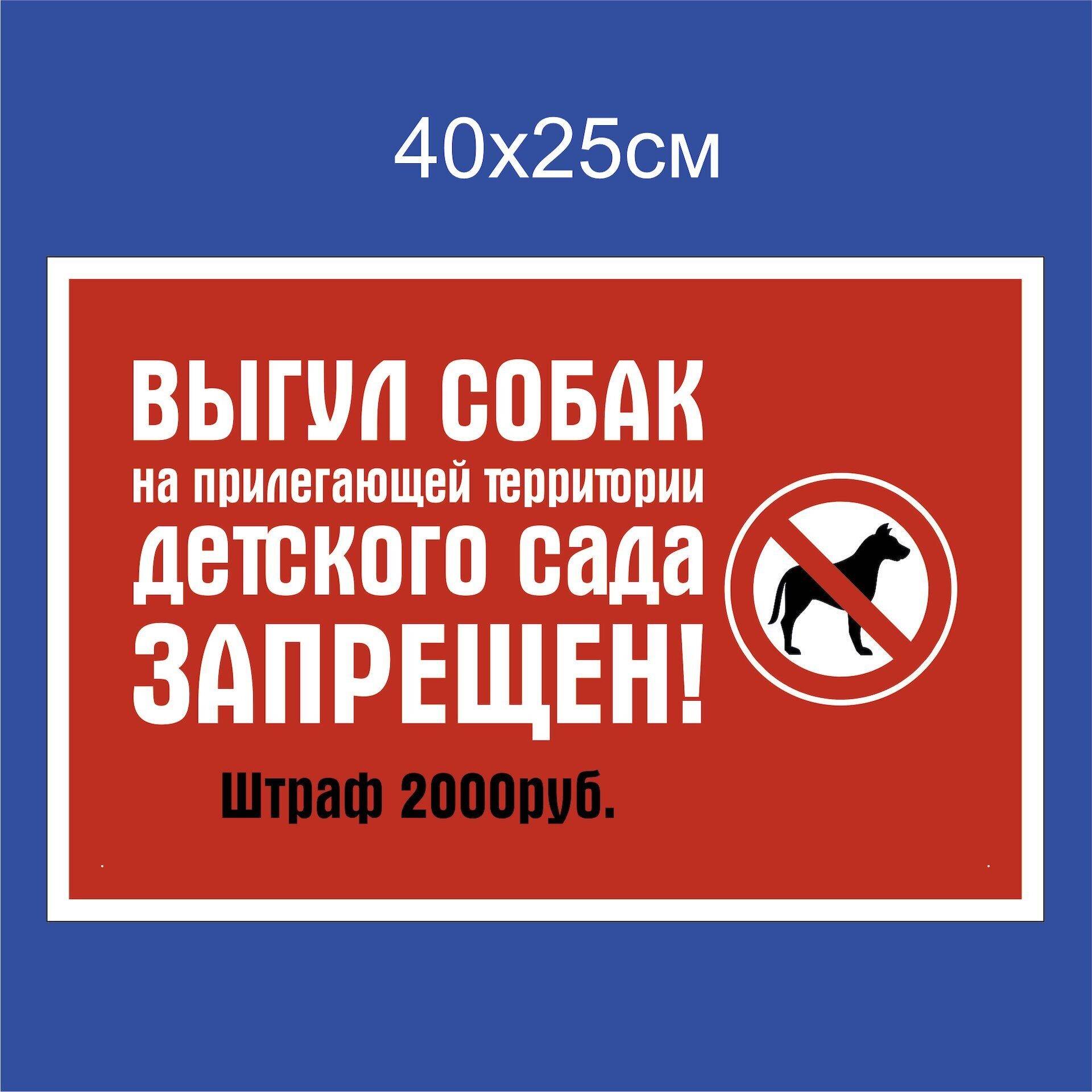 Закон о выгуле собак на 2020 год: запреты, штрафы, поправки