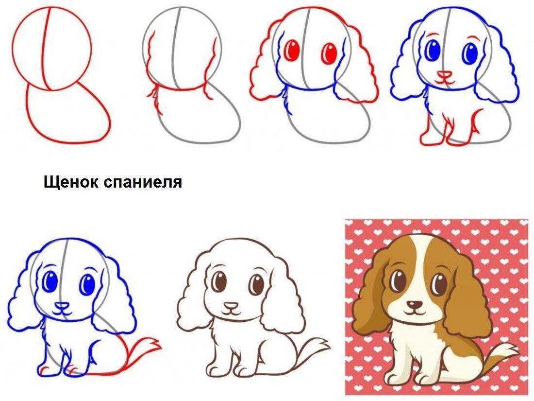 Срисовать рисунок собаки