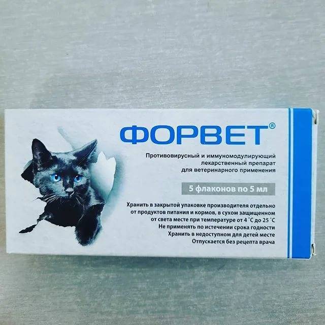 Инструкция по применению препарата форвет для кошек