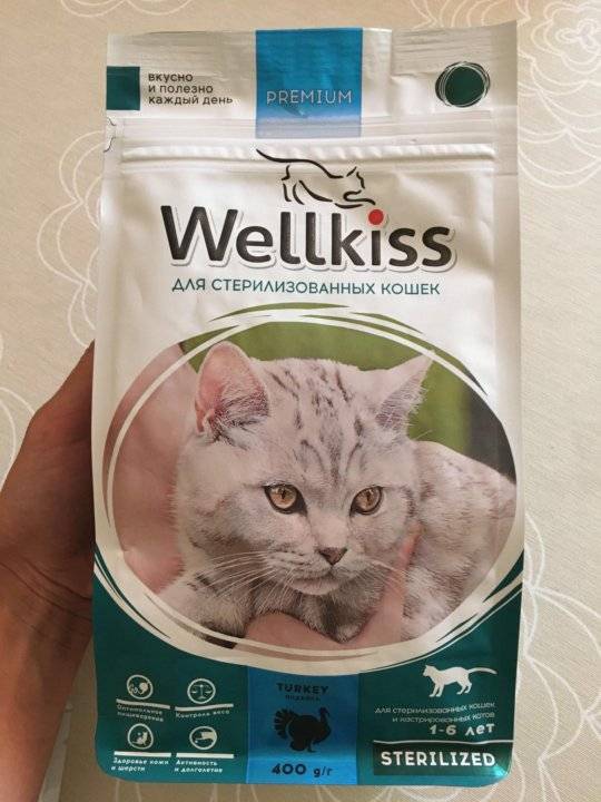 Корма для кошек wellkiss