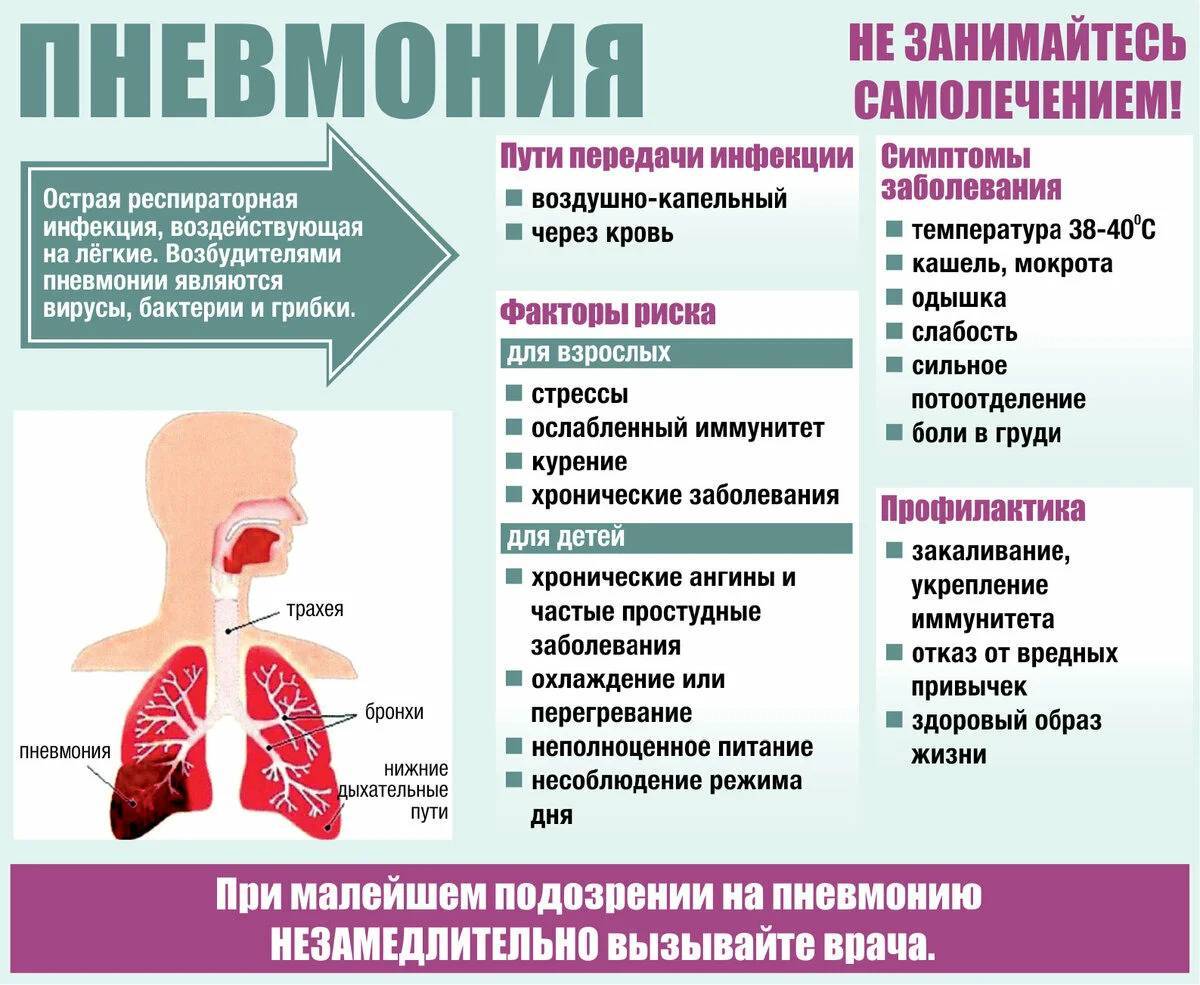 Пневмония у собак: симптомы и лечение