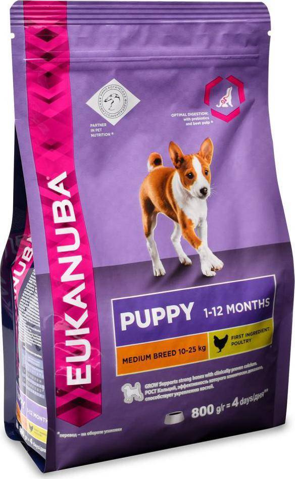 Корм для собак eukanuba: состав корма и отзывы о продукте