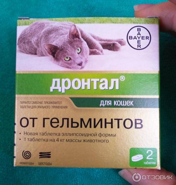 Дронтал для кошек, антигельминтный препарат