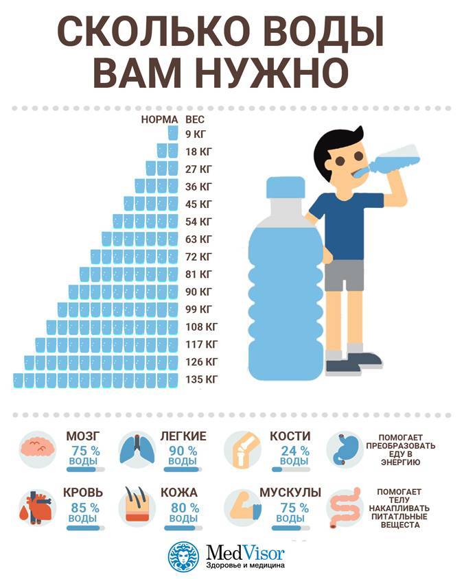 Сколько коты или кошки должны пить воды в день