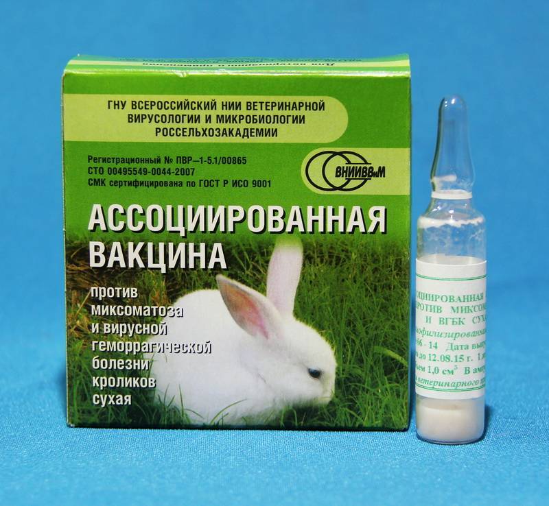 Прививки кроликам от миксоматоза и ВГБК