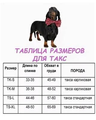 Какая температура тела считается нормальной у собак