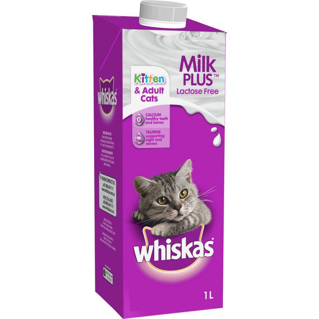 Можно ли кошкам давать молоко и молочные продукты