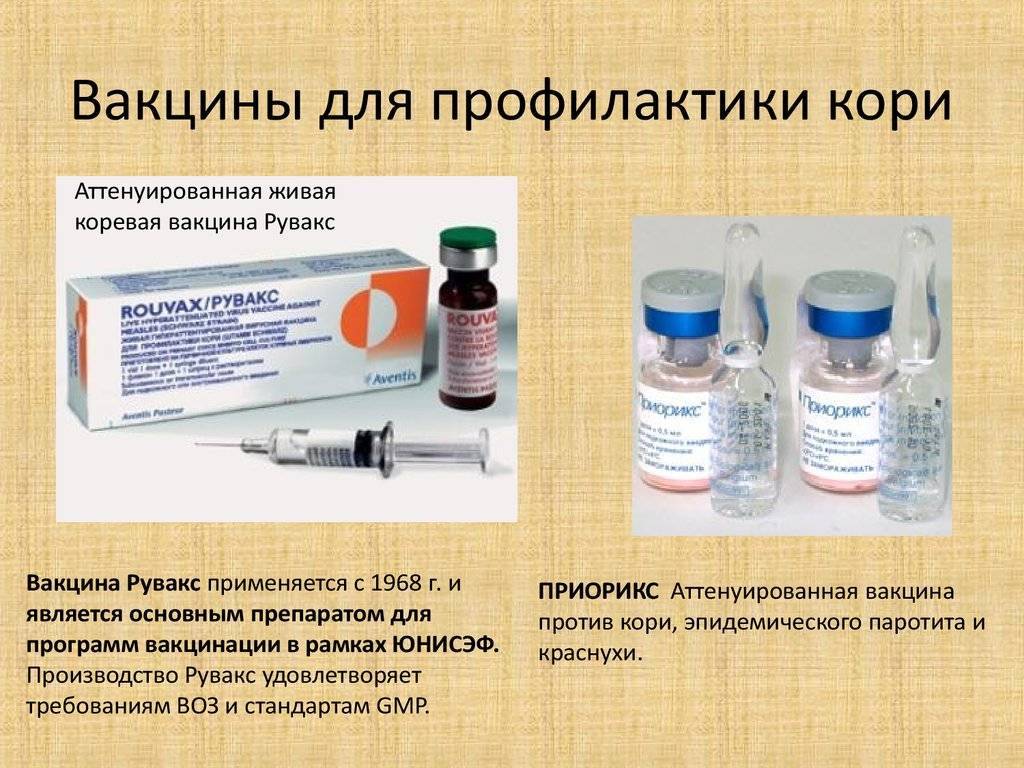 В россии создали вакцину от аллергии на кошек. она может поступить в продажу уже в 2021 году