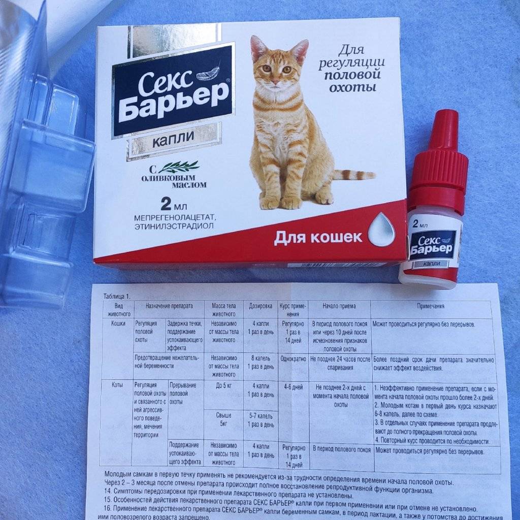 Котэрвин: инструкция по применению для кошек и котов, отзывы ветеринаров о каплях, аналоги