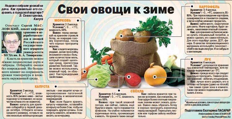 Какие овощи можно давать попугаю: огурцы, помидоры, капусту, морковь, свёклу и другие