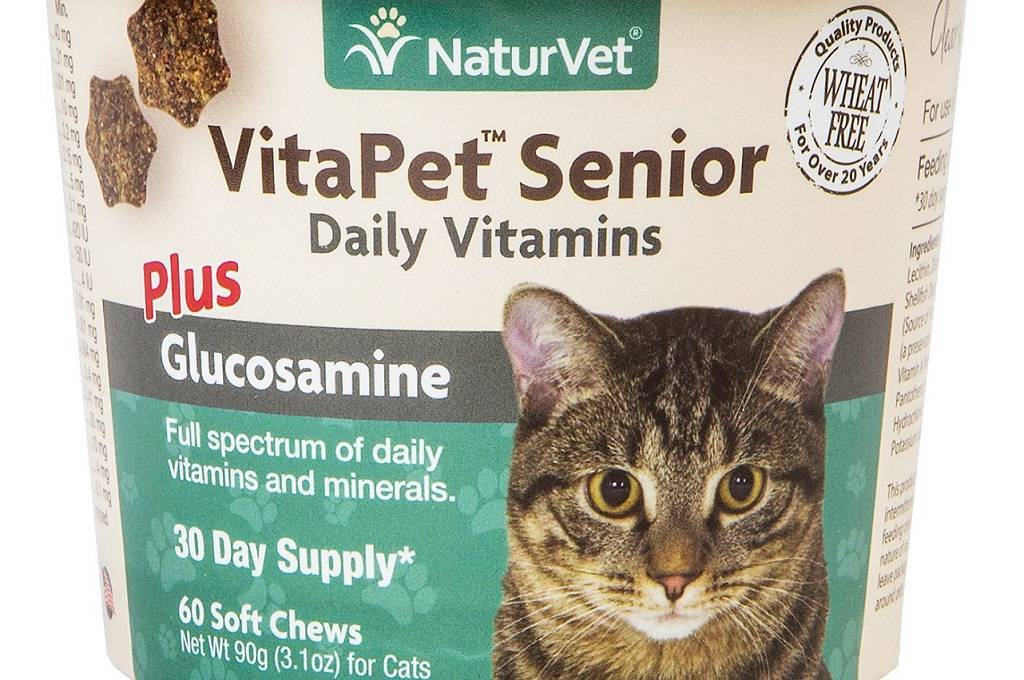 Витамины для кошек и котят: какие необходимы и как давать, отзывы