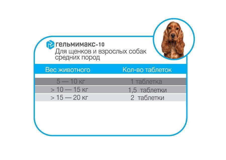 Глистогонное ( антигельминтное ) средство  для собак.