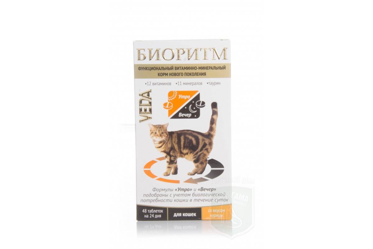 Витамины для кошек от выпадения шерсти: какие лучше, отзывы ветеринаров