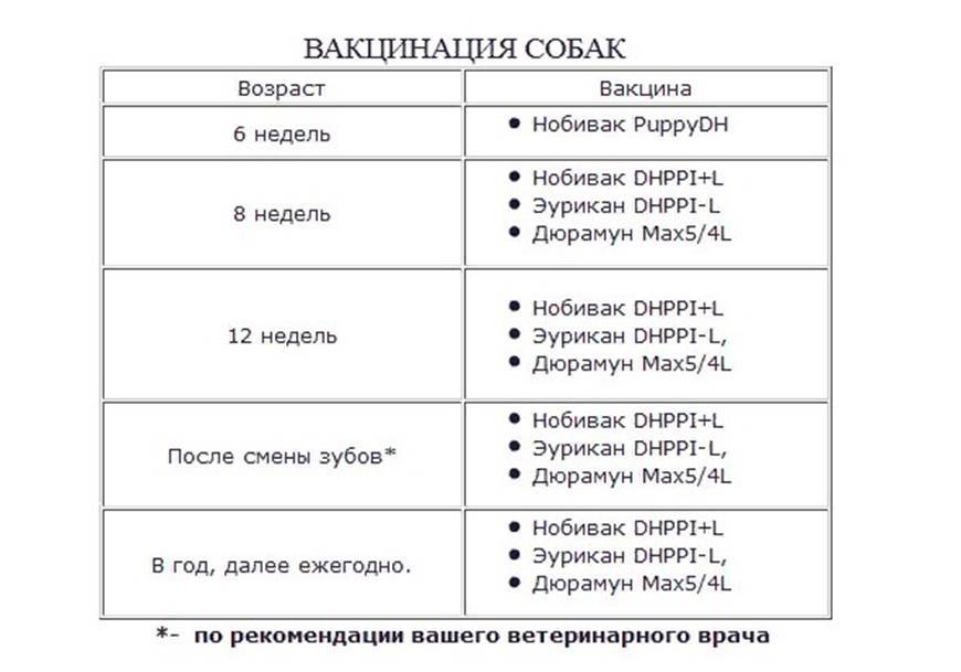 План прививок для собак с рождения