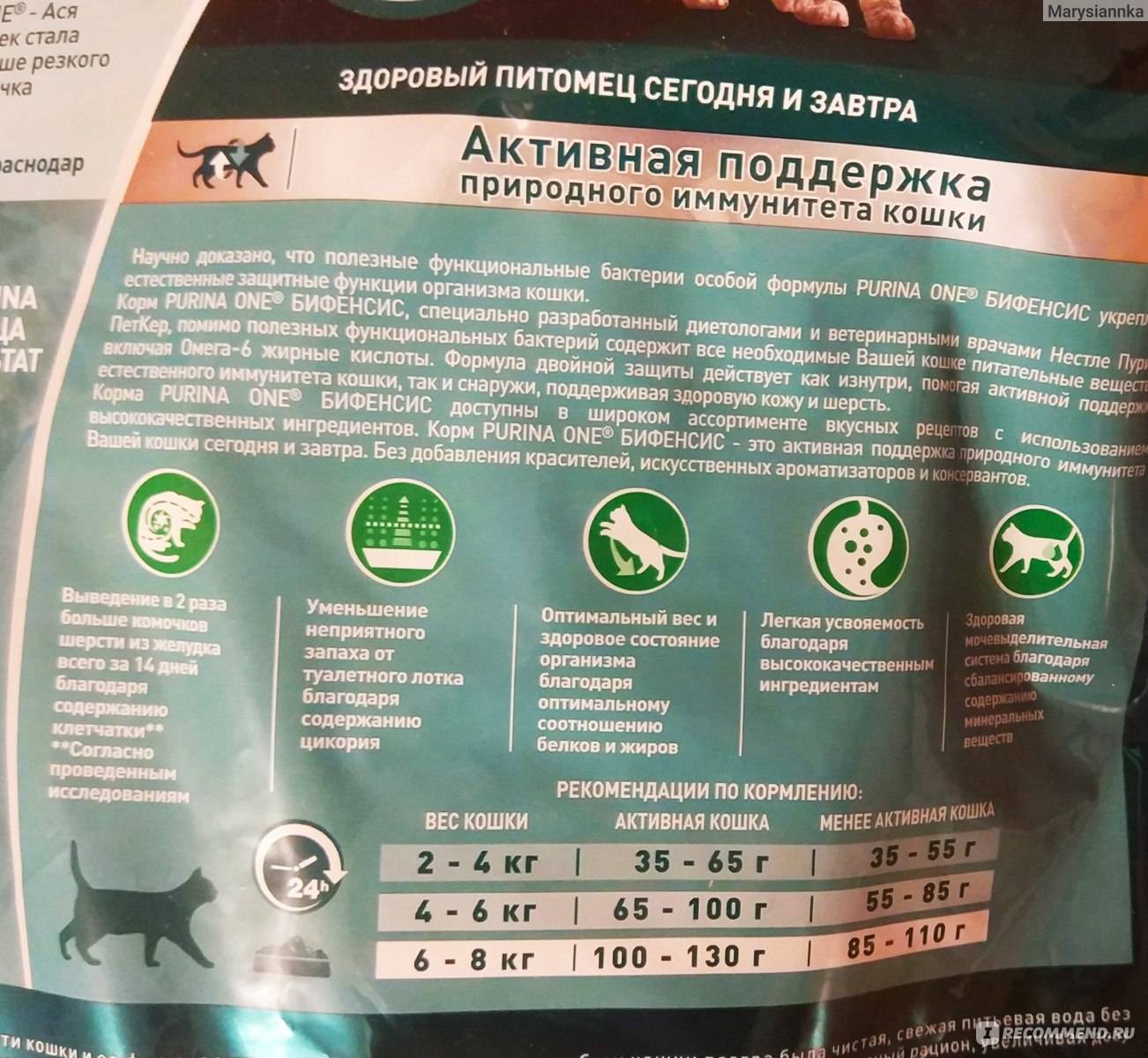 Обзор лучших кормов для пожилых кошек на 2022 год с преимуществами