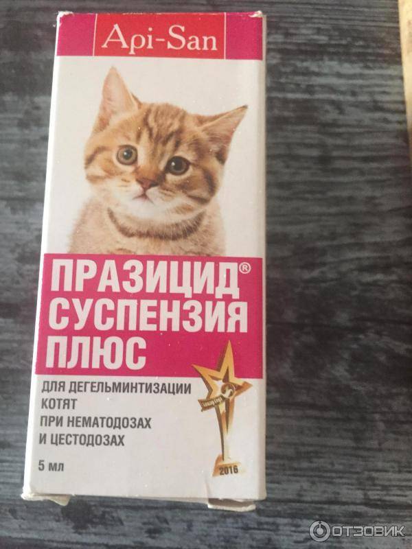 Празицид суспензия плюс для кошек: инструкция и отзывы о препарате