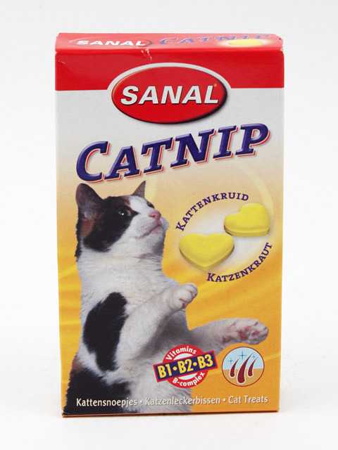 Витамины для кошек санал: описание препарата, состав, виды, инструкции по применению, отзывы