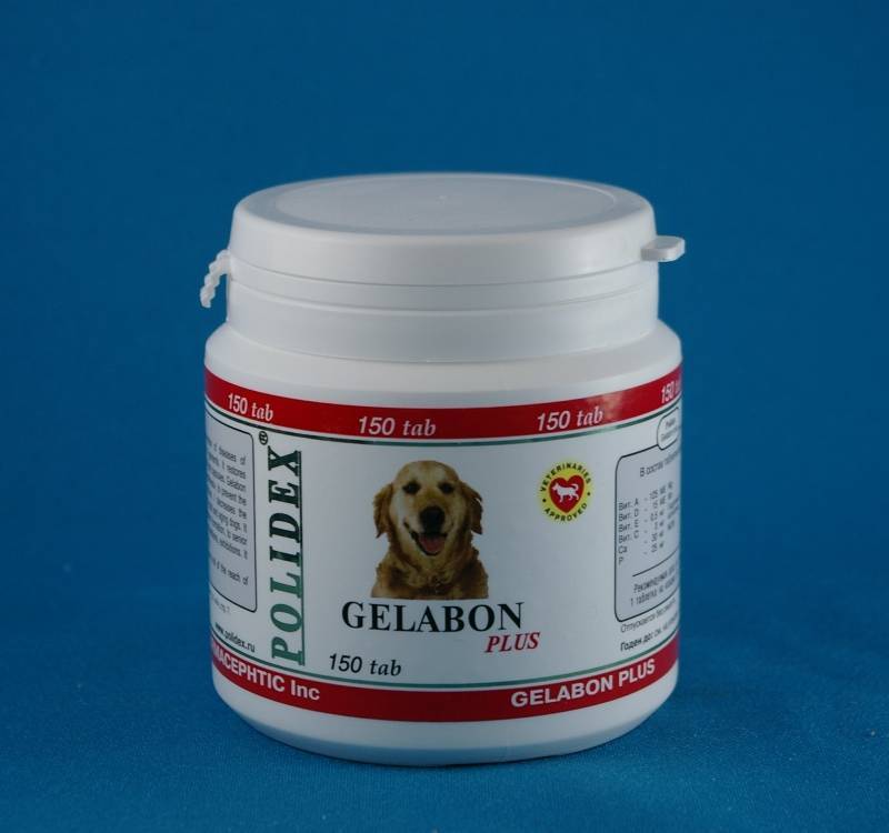 «полидекс» для собак: ассортимент витаминных комплексов, состав, инструкция по применению + отзывы ветеринаров