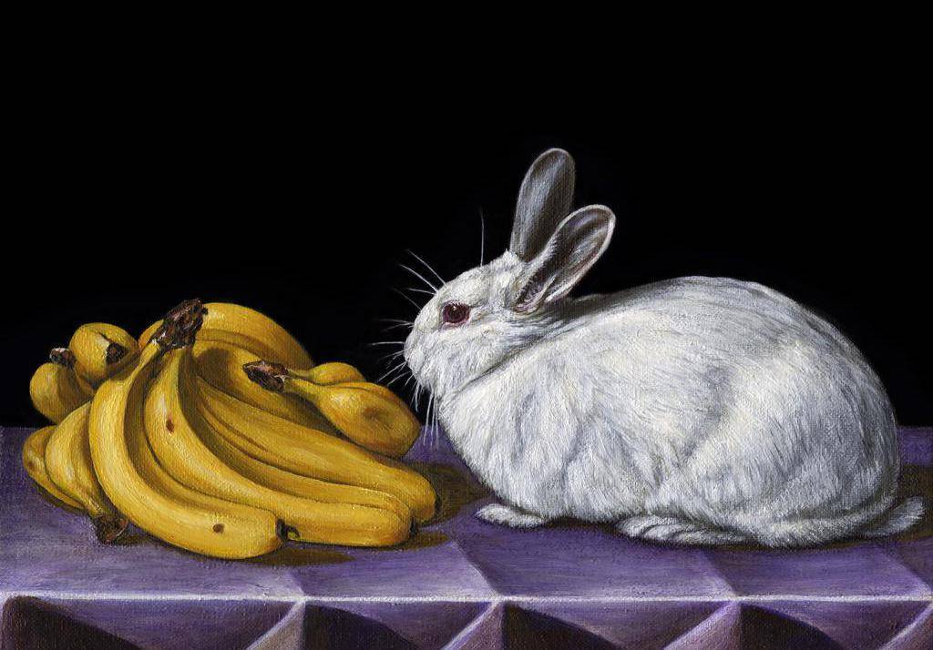 Можно ли кроликам давать бананы или банановую кожуру? - домашние наши друзья