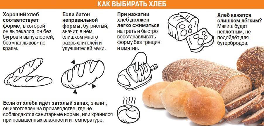 Можно ли давать собакам хлеб: какой хлеб будет полезным, плюсы и минусы кормления хлебом, как добавлять в еду