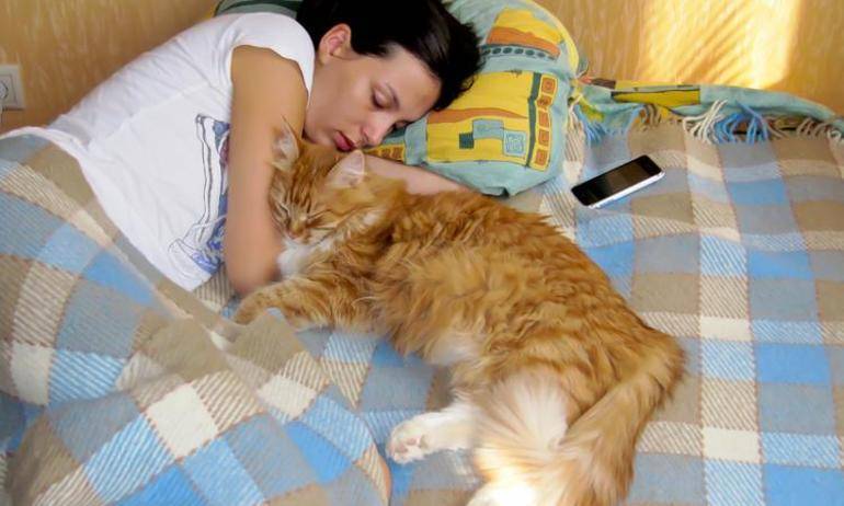 Почему кошки спят в ногах у хозяина - 3 причины!