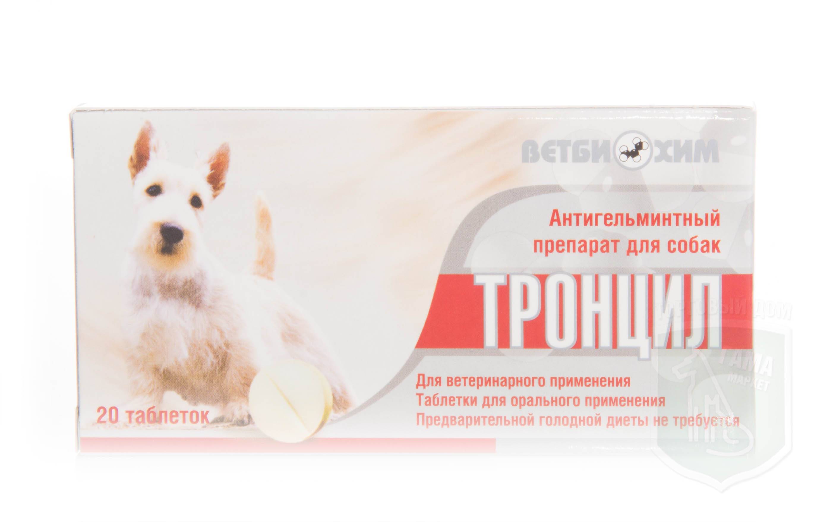 Тронцил для собак: доступно и эффективно