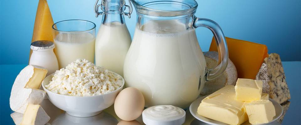 Можно ли хомякам молоко и прочие молочные продукты