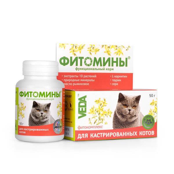 Выбираем витамины для собак, кошек, щенков и котят