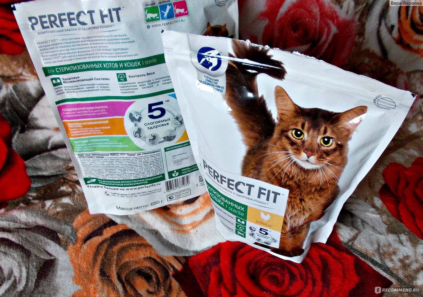 Влажные корма для кошек: обзор, производители, рейтинг по качеству, отзывы ветеринаров - animallist.ru