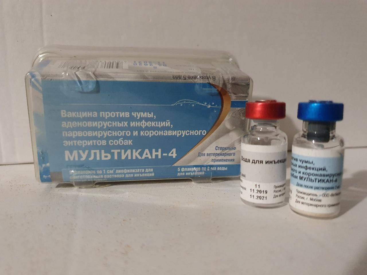 Какая вакцина от коронавируса лучше? все о достоинствах и недостатках зарегистрированных вакцин — уцмс лечение за рубежом