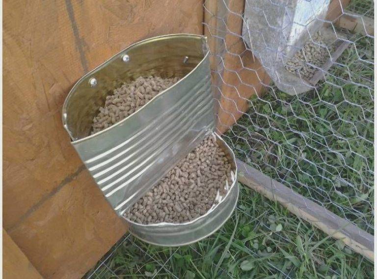 Делаем бункерную кормушку для кроликов самостоятельно: расчеты, материалы и пошаговая инструкция