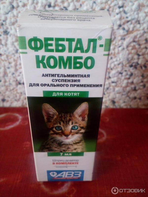 Фебтал для кошек и котов: инструкция по применению у взрослых животных и котят, отзывы
