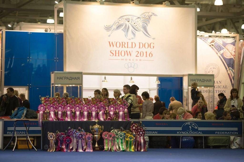 Мадрид (испания) | 16-20 декабря 2020 | world dog show
