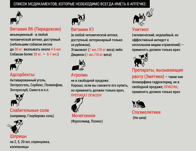Симптомы отравления