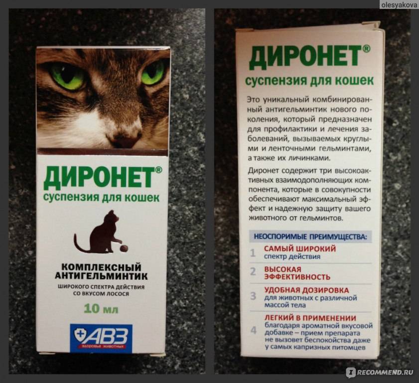 Препарат диронет для кошек