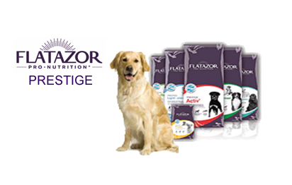 Корма для собак flatazor (флатазор): ассортимент, состав, гарантированные показатели производителя, плюсы и минусы кормов, выводы