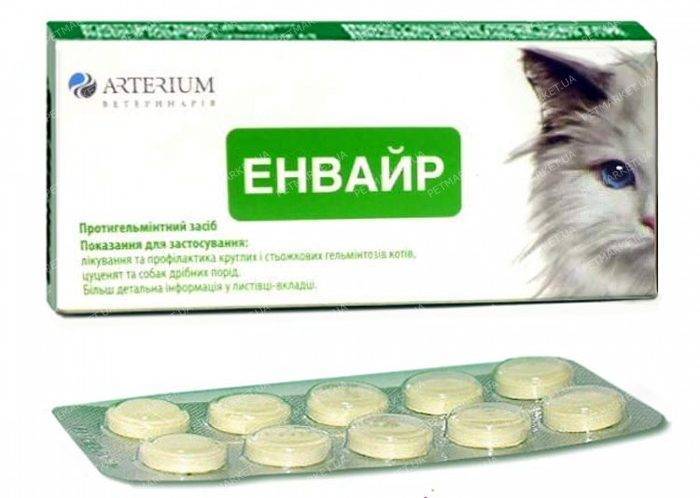 Что можно дать кошке от глистов? топ 11 препаратов для лечения гельминтоза