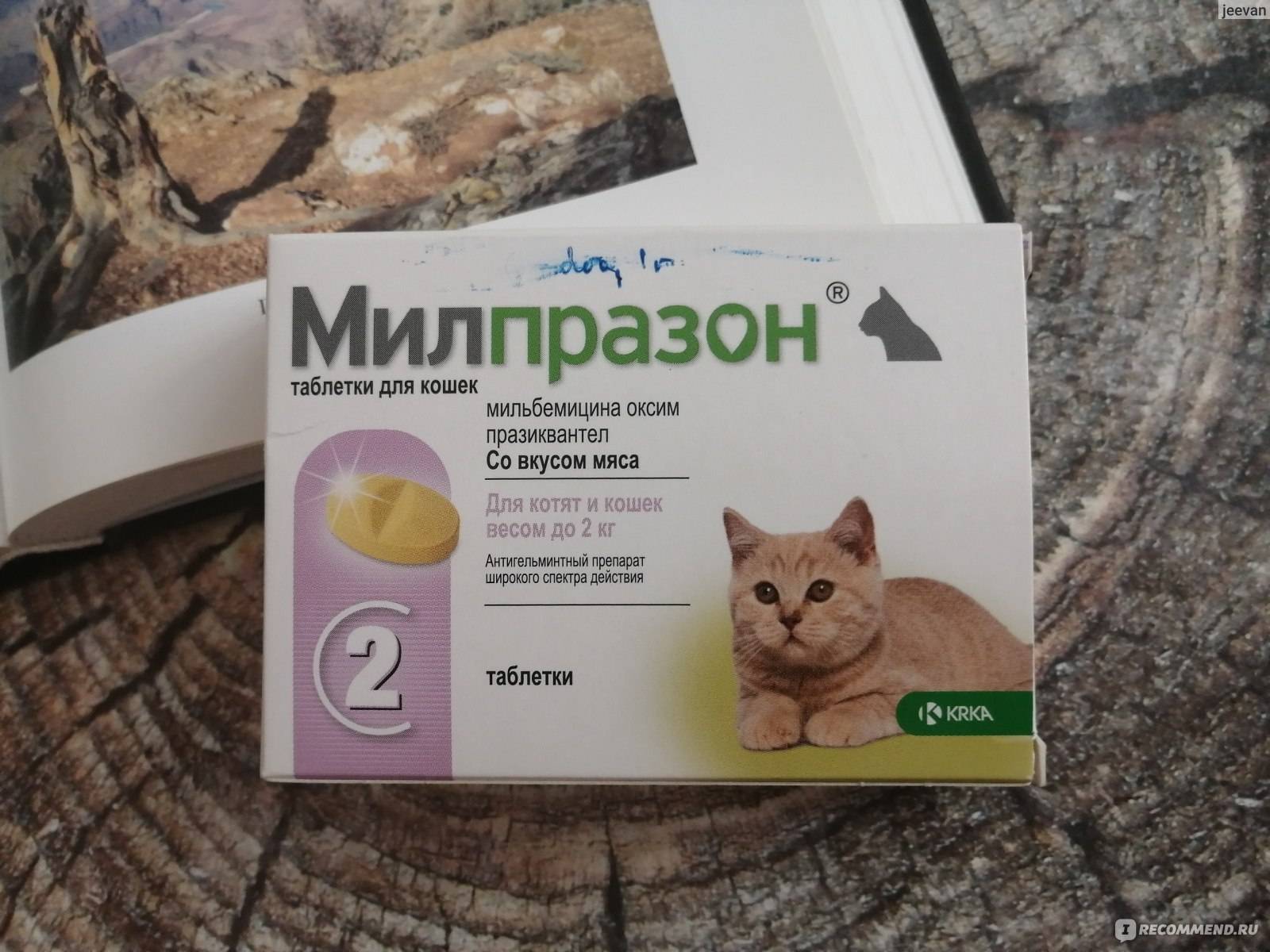 Инструкция по применению препарата милпразон для кошек