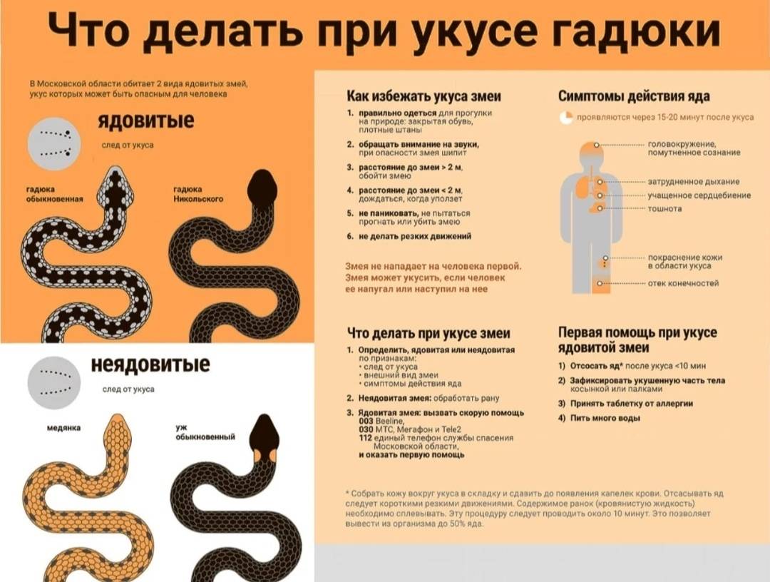 Змеиные укусы — государственное бюджетное учреждение здравоохранения республики крым бахчисарайская црб