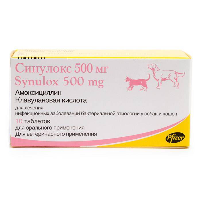 Синулокс для кошек в таблетках и инъекциях - дозировка, противопоказания, аналоги и отзывы