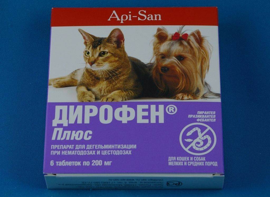 Дирофен-паста 20 и 60 (паста) для кошек, собак, щенков, котят | отзывы о применении препаратов для животных от ветеринаров и заводчиков