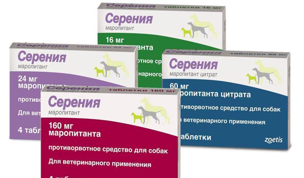 Для чего нужны таблетки «серения» собакам